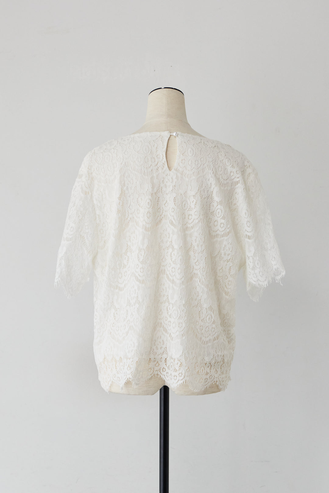 総レース スカラップヘム ハーフスリーブブラウス