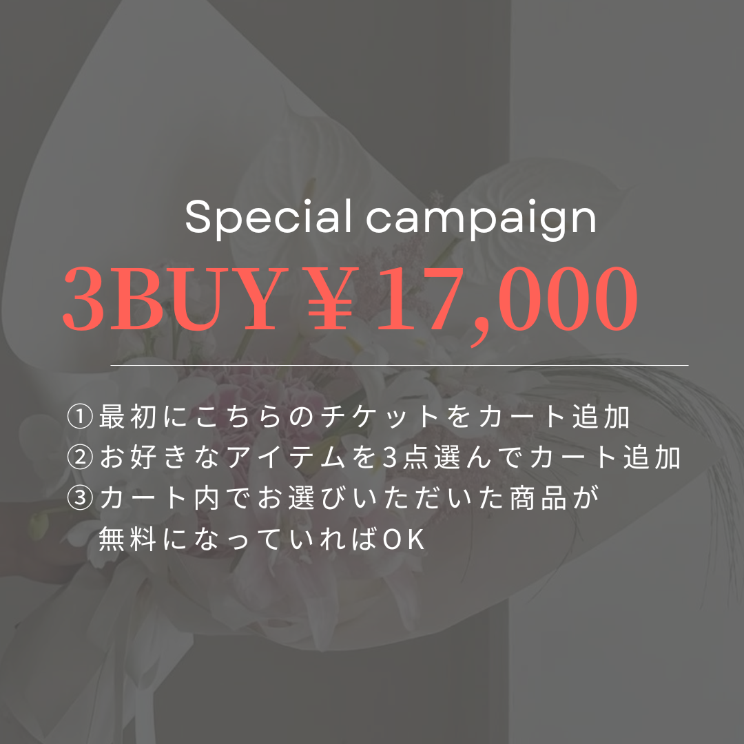 【まず初めにこちらをカートイン】¥17,000チケット
